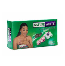 download (1) NATUREWELL VITAMIN C BRIGHTENING MOISYURE CREAM 454G